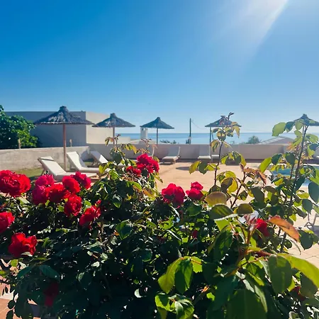Hotel Saradari - Adults Only 4*